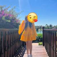 Bal gibi escort bayan Befru